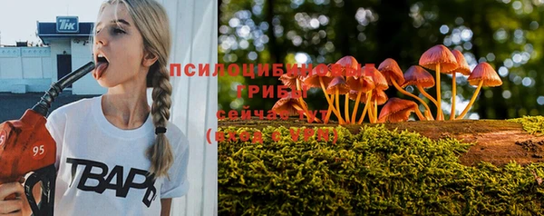 прущие крисы Заволжье